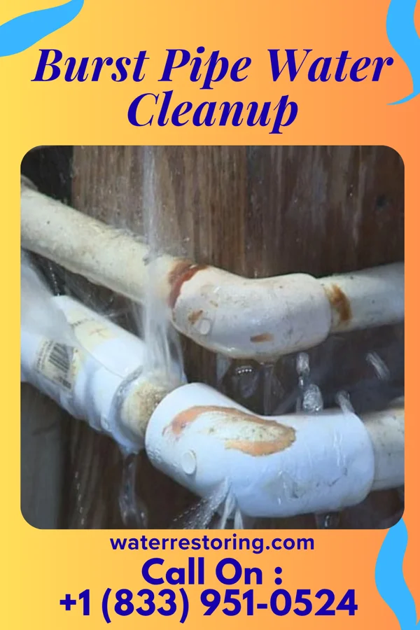 Burst Pipe Water Cleanup in Highland Park, PA