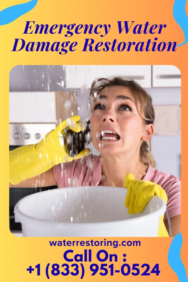 Emergency Water Damage Restoration in Highland Park, PA