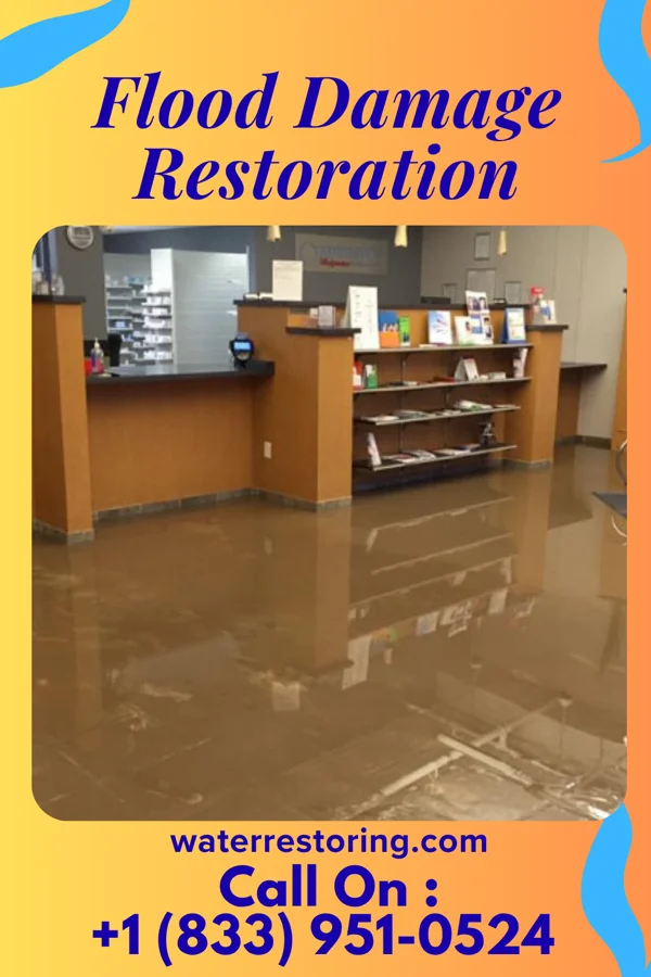 Flood Damage Restoration in Highland Park, PA