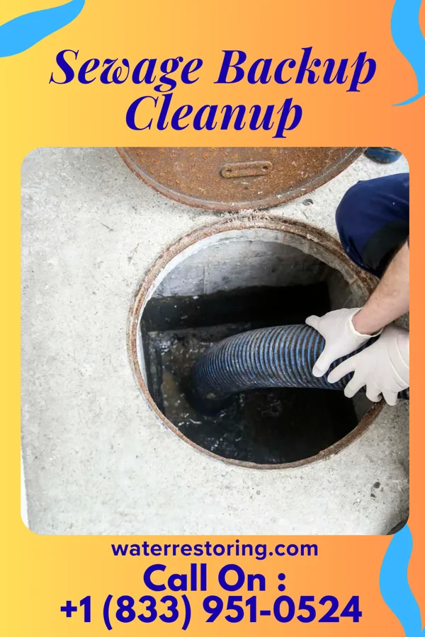 Sewage Backup Cleanup in Highland Park, PA