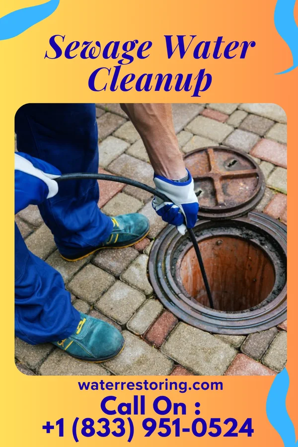 Sewage Water Cleanup in Highland Park, PA