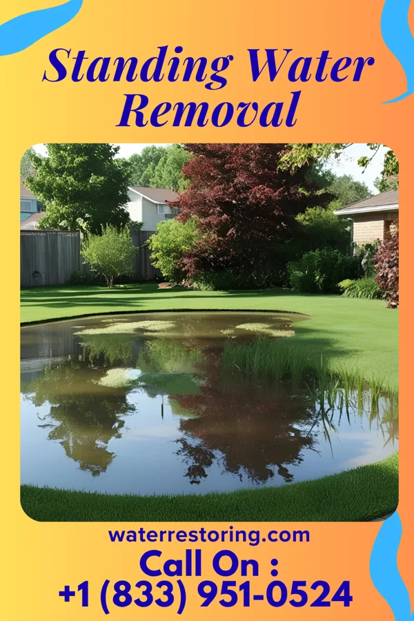 Standing Water Removal in Highland Park, PA